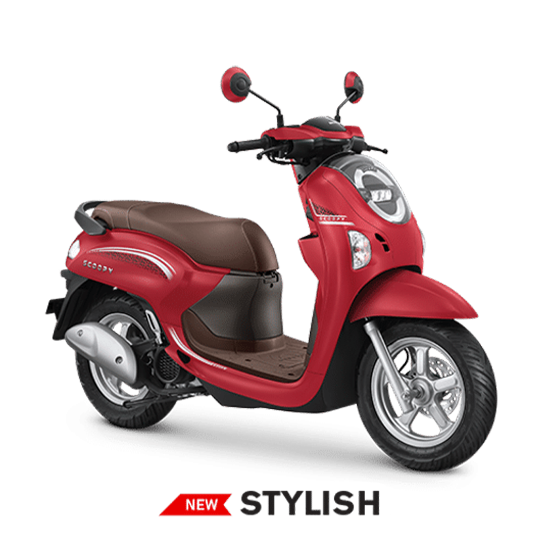 Scoopy Scoopy
